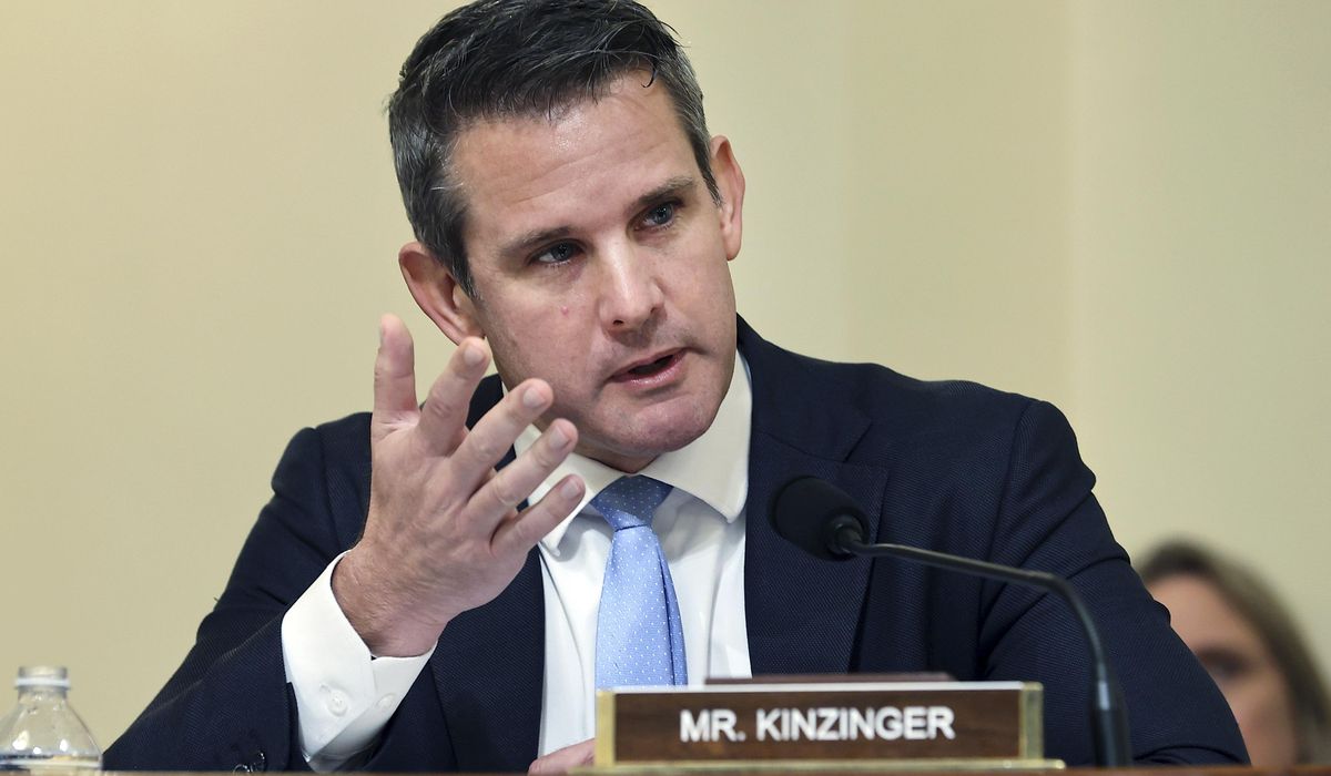 Kinzinger makes pitch for PAC donations in Thanksgiving ad