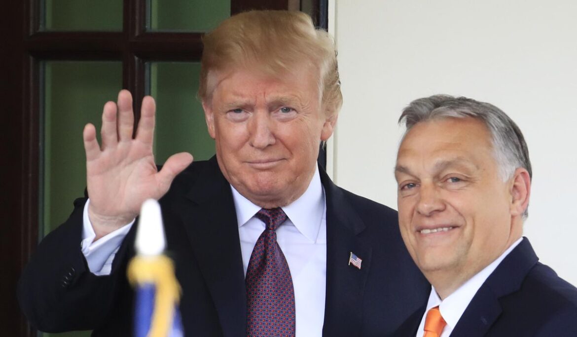 Trump plays kingmaker in Hungary with endorsement of Orban