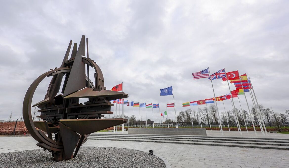 Russian aggression shines spotlight on NATO’s limitations