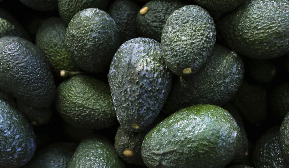 U.S. suspends Mexican avocado imports on eve of Super Bowl