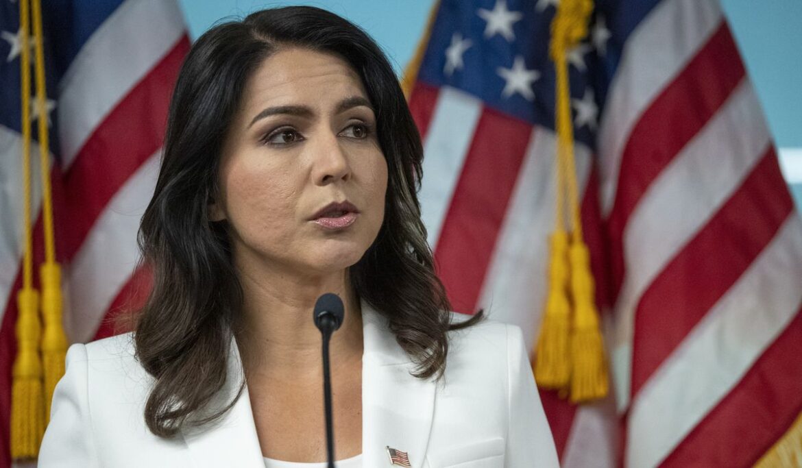 Tulsi Gabbard ‘censored’: Google, YouTube deem Fox News interview ‘inappropriate or offensive’