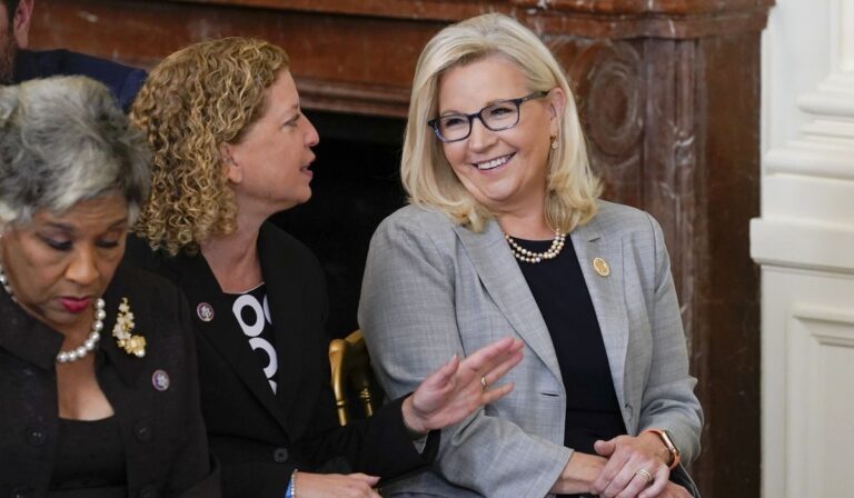 Top Dem donors boost Liz Cheney’s campaign for putting ‘country over party’
