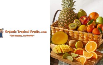 Organic Tropical Fruits, LLC is thrilled to unveil its highly anticipated website, https://OrganicTropicalFruits.com, a haven for organic fruit and vegetable enthusiasts seeking the freshest and most flavorful produce sourced from tropical paradises worldwide.